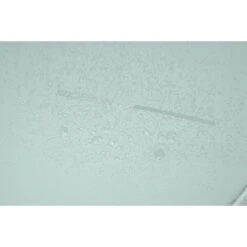 Bobby Edge Backpack (SA) -Fashion Bag Store Bobby Edge Backpack Iceberg Green 14 1 d9ceab50 fb0c 4357 ba8e 717e78070237